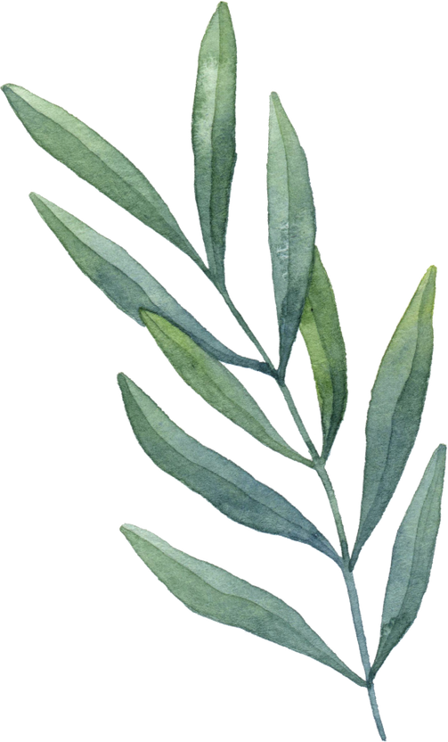 Watercolor Sage Green Branch